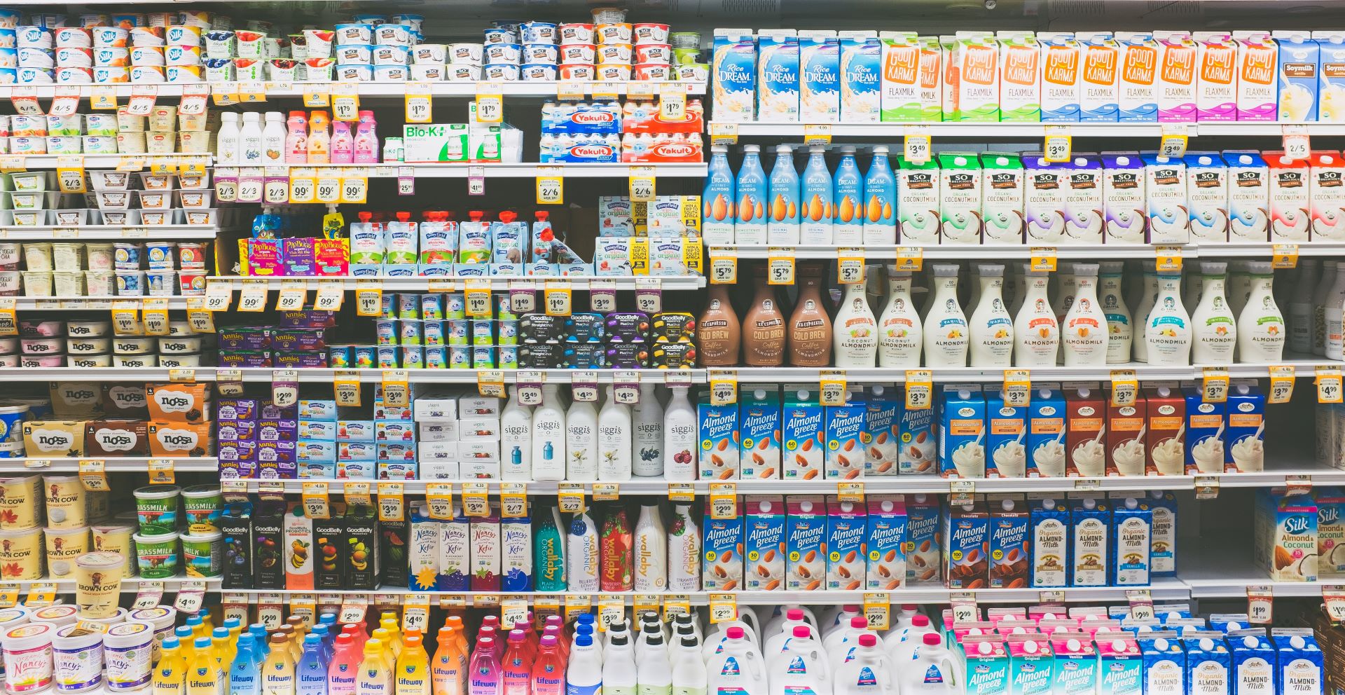 Grocery store shelves with various yogurts, creamers, and milks.